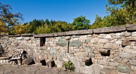 Garden Walls Patio Cork