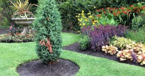 landscaping-flowers-cork
